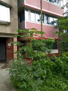 Image of 450 Sq.ft 1 BHK Apartment / Flat for rent in Bishnupur, Kolkata for Rs. 5000