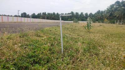 Image of 435 Sq.ft Residential Plot / Land for sale in Unjavelampatti, Pollachi for Rs. 525000