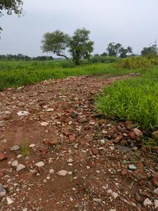 Nest Valley Internal Roads 1