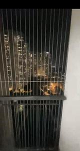 Balcony Image of 560 Sq.ft 2 BHK Apartment / Flat for rent in Runwal Eirene, Thane West Thane for Rs. 35000