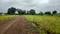 Pathardi Gaon, Pathardi Phata Main Image 1