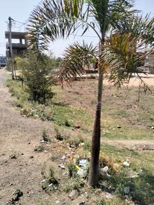 Image of 390 Sq.ft Residential Plot / Land for sale in Jagdishpur, Bhopal for Rs. 360000