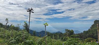 Image of 3539 Sq.ft Residential Plot / Land for sale in Shenbaganur, Kodaikanal for Rs. 9197861