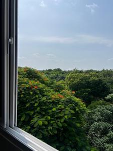 Balcony Image of Home away from Home in Satbari, New Delhi