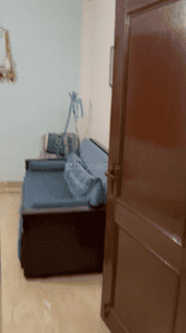 Image of 4200 Sq.ft 6 BHK Independent House for sale in Sector 52, Noida for Rs. 75000000