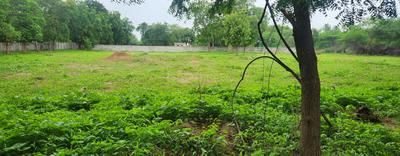 Image of 5000 Sq.ft Residential Plot / Land for sale in Raysan, Gandhinagar for Rs. 200000000