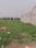 Sector 105 Plot View 2