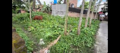 Image of 1440 Sq.ft Residential Plot / Land for sale in Nabadwip, Nadia for Rs. 1400000