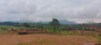 Image of 5360 Sq.ft Residential Plot / Land for sale in Trimbak, Nashik for Rs. 2301000
