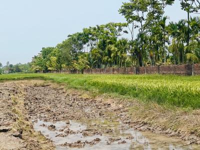 Image of 1440 Sq.ft Residential Plot / Land for sale in Sonarpur, Kolkata for Rs. 499999