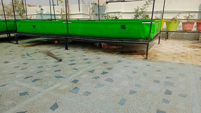 1 BHK Independent House