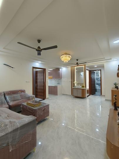 New luxurious society Main Image 1