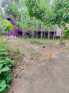 Behala B G PRESS Plot View 2