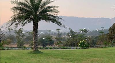 Image of 11000 Sq.ft Residential Plot / Land for sale in Shahapur, Thane for Rs. 2750000