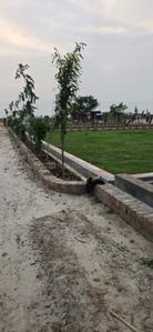 Image of 900 Sq.ft Residential Plot / Land for sale in Mandhana, Kanpur for Rs. 1500000