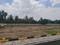 Moolakazhani Plot View 2