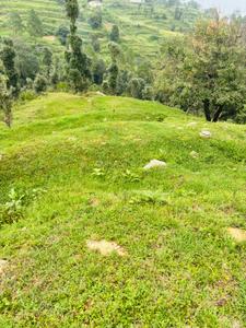 Image of 10000 Sq.ft Residential Plot / Land for sale in Mukteshwar, Nainital for Rs. 12500000