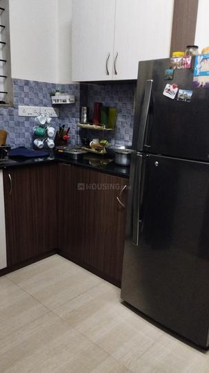 Vakil Daffodils Main Image 1