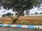 Srushti S Plot View 2