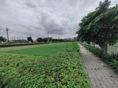 Image of 850 Sq.ft Residential Plot / Land for sale in Sangeeta Bagdi Sapna Sangeeta Residency, Musakhedi, Indore for Rs. 6375000