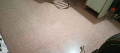 Kitchen Image of 800 Sq.ft 2 BHK Independent House for rent in Sikandar Kampoo Gwalior for Rs. 4000