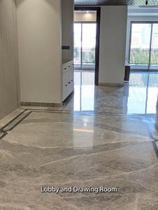 Hall Image of 3200 Sq.ft 4 BHK Builder Floor for rent in DLF Phase 2, DLF Phase 2 Gurgaon for Rs. 130000