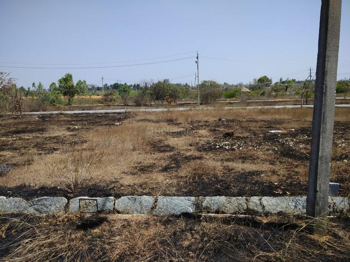 AMT Kadamba Main Image 1