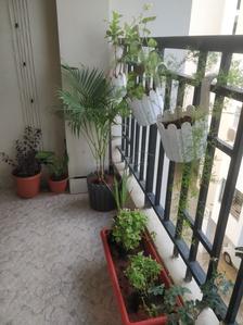 Balcony Image of 978 Sq.ft 2 BHK Apartment / Flat for sale in Sugal And Damani Lake Side Phase 2, Puzhal Chennai for Rs. 7100000