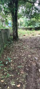 mallu broker Plot View 2