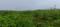 Pitapalli Main Image 1