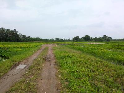 Residential Plot