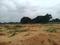 Bongloor Plot View 2