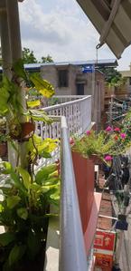 Image of 5500 Sq.ft 12 BHK Independent House for sale in Baghajatin, Kolkata for Rs. 26500000