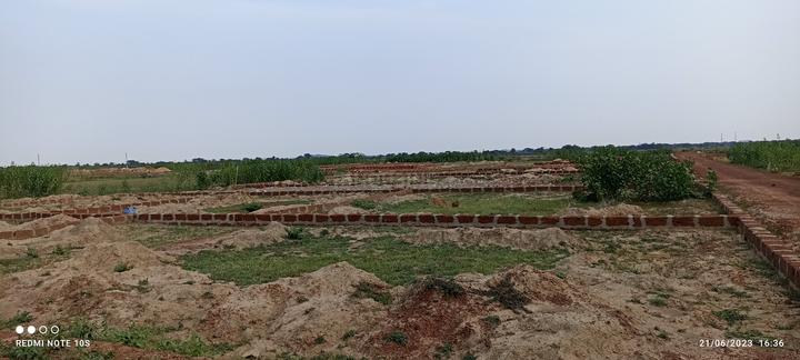 Patrapoda Main Image 1