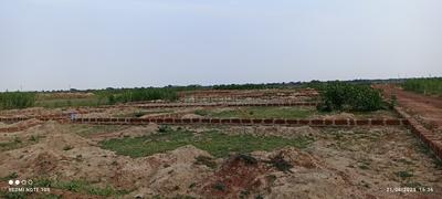 Sijua Plot View 2