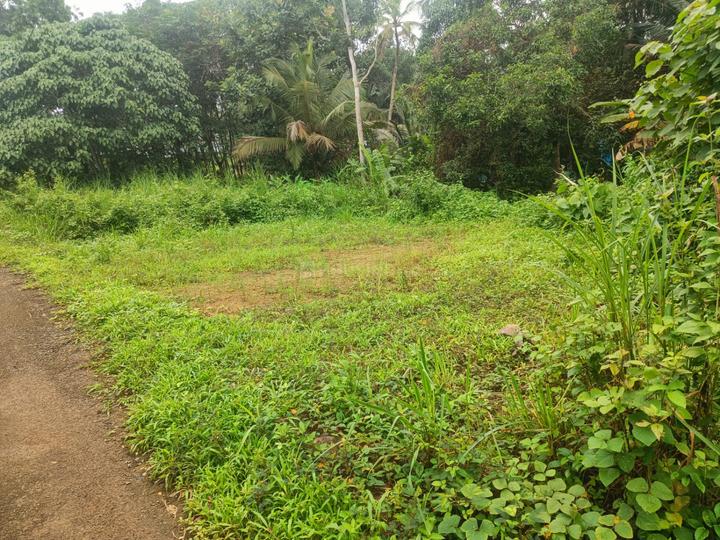 Thiruvaniyoor Main Image 1