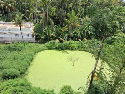 Image of 19491 Sq.ft Residential Plot / Land for sale in Irinjalakuda, Thrissur for Rs. 30000000