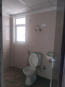 Common Bathroom Image of 1000 Sq.ft 2 BHK Apartment / Flat for sale in Amrapali Verona Heights, Noida Extension Greater Noida for Rs. 7245000