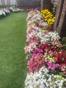 Image of 7000 Sq.ft 6 BHK Duplex for sale in Park Street Area, Kolkata for Rs. 120000000