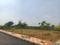 Kothur Plot View 2