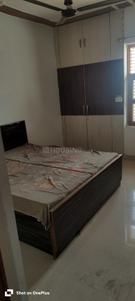 Living Room Image of 540 Sq.ft 1 RK Apartment / Flat for rent in Sector-02 Bahadurgarh for Rs. 7000