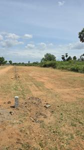 Image of 1864 Sq.ft Residential Plot / Land for sale in Madakudi, Tiruchirappalli for Rs. 1864000