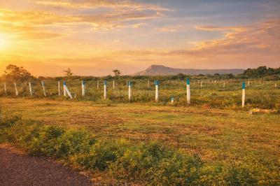 Image of 436 Sq.ft Residential Plot / Land for sale in Kalikappan, Madurai for Rs. 850000