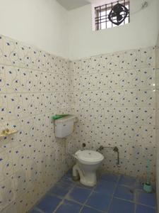 Image of 1500 Sq.ft 2 BHK Independent House for rent in Sarkanda, Bilaspur for Rs. 15000