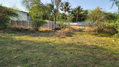 Image of 2400 Sq.ft Residential Plot / Land for sale in Palliagraharam, Thanjavur for Rs. 3000000