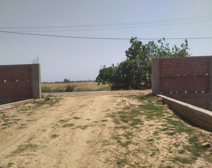 Bihta Main Image 1