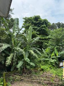 Arabinda Pally Plot View 2