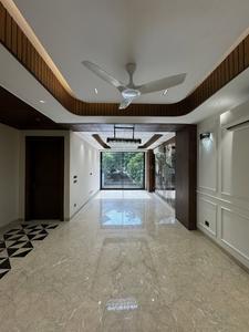 Hall Image of 1800 Sq.ft 3 BHK Builder Floor for sale in Naraina New Delhi for Rs. 38000000