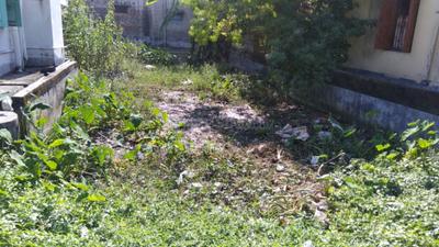 State Colony Plot View 3