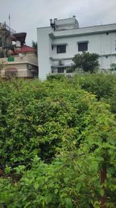 Image of 5004 Sq.ft Residential Plot / Land for sale in Sahastradhara Road, Dehradun for Rs. 36696000